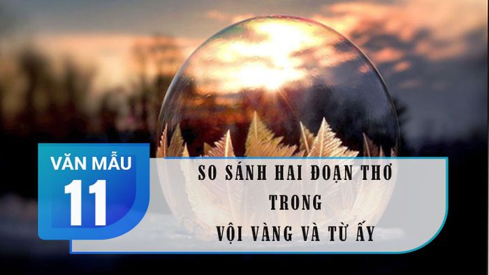 Hình ảnh minh họa (Nguồn internet) - Hình ảnh số 1