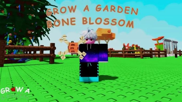so-sanh-gia-tri-bone-blossom