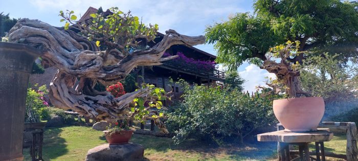 Nông trại Eco Tân Hưng - Ảnh khoảnh khắc vui chơi cùng các hoạt động dân gian