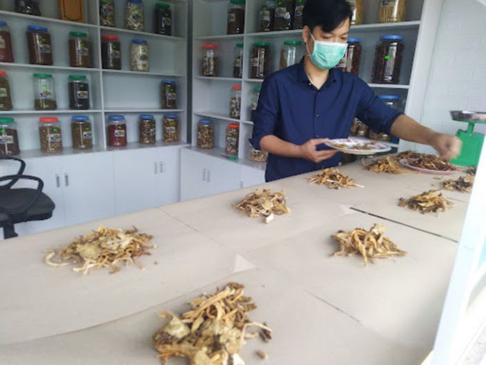 Phòng Khám Đông Y Mai Hàn ảnh 1