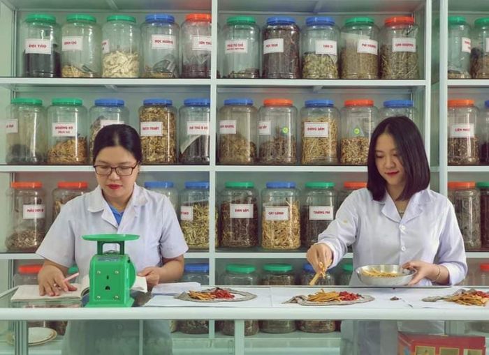 Phòng khám chuyên khoa Y học cổ truyền Hội Đông Y tỉnh Quảng Trị ảnh 1