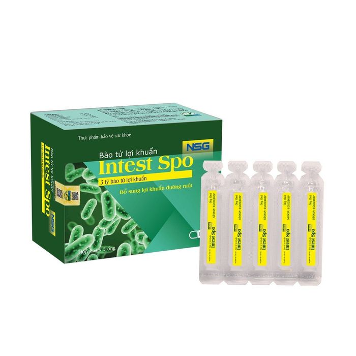 Hình ảnh sản phẩm Intest Spo NSG chính hãng