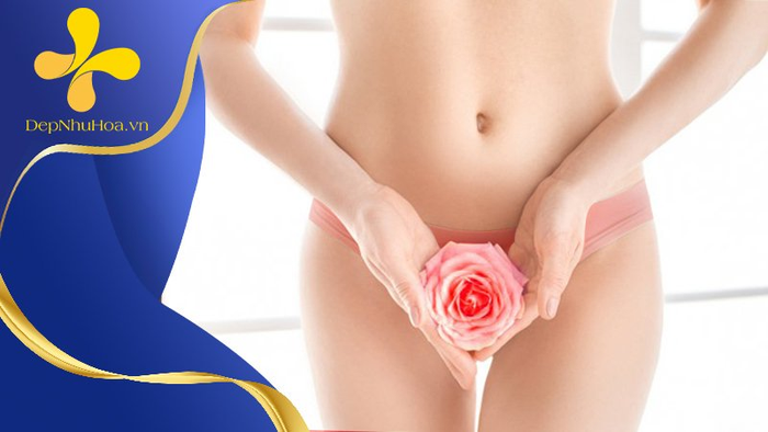 Hình ảnh Thẩm Mỹ Như Hoa 1