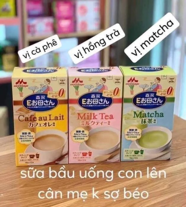 Khoảng không gian ấm áp tại Gấu Omi