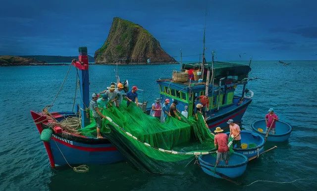 Hình ảnh minh họa ấn tượng (Nguồn: internet) ảnh 1