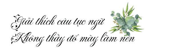 Hình ảnh minh họa sinh động (Nguồn: internet)