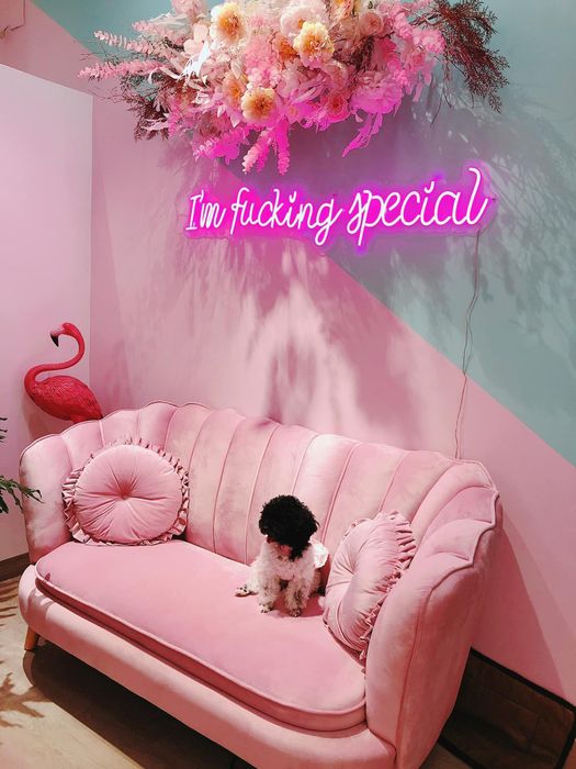 Waxing Bar Saigon - Những khoảnh khắc thư giãn và trải nghiệm dịch vụ waxing chuyên nghiệp tại Waxing Bar