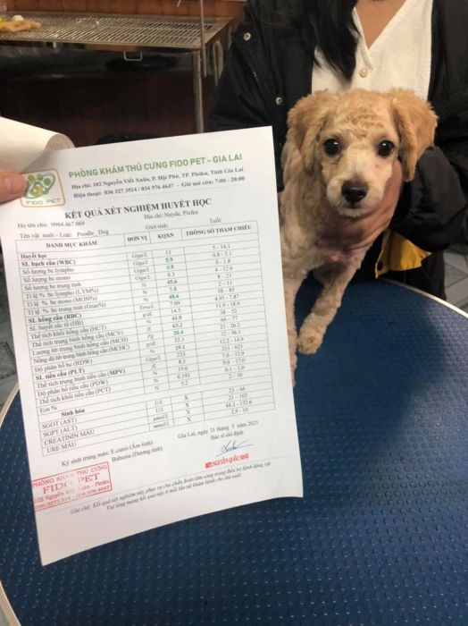 Hình ảnh 1 - Phòng Khám FIDO PET Gia Lai