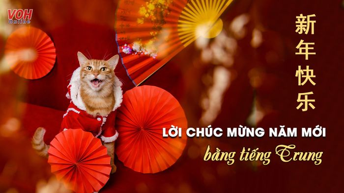 Hình ảnh minh họa không khí đón xuân (Nguồn: Internet)