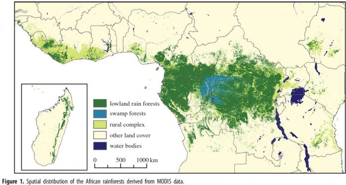 Vị trí rừng Congo (phần màu xanh) - Ảnh 2