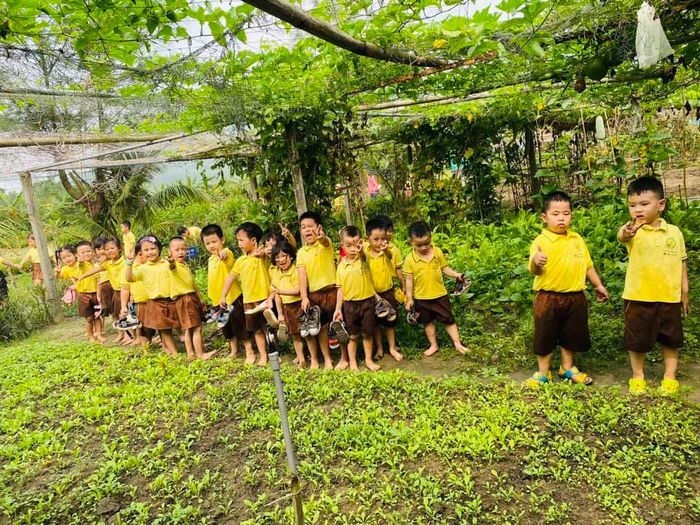 Bộ sưu tập hình ảnh đặc sắc ghi lại những khoảnh khắc học tập, vui chơi đáng nhớ của các bé tại Trường Mầm Non Hoa Mai.