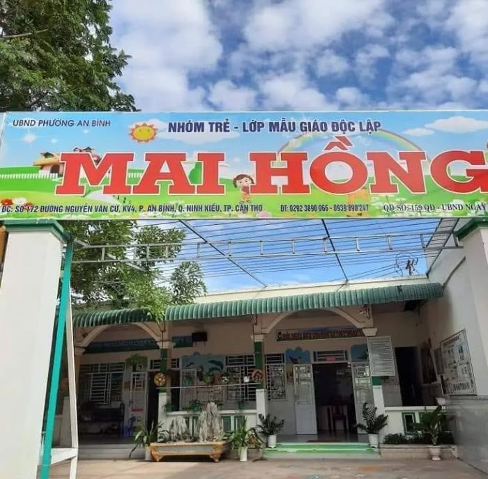 Hình ảnh vườn rau xanh mát của bé