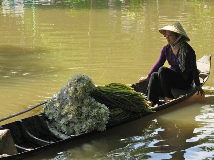Tranh minh họa sinh động về đời sống sông nước miền Tây (Nguồn: Internet)