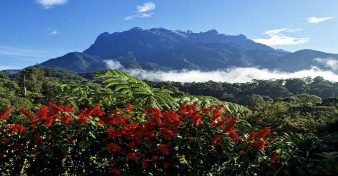 Vẻ đẹp hoang sơ của Vườn quốc gia Kinabalu - Ảnh 1