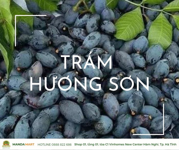 Góc chuyên biệt thực phẩm hữu cơ cao cấp tại Manda Mart