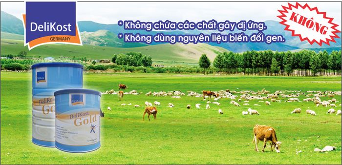 Hình ảnh sữa Delikost Gold - Dinh dưỡng vàng từ nước Đức