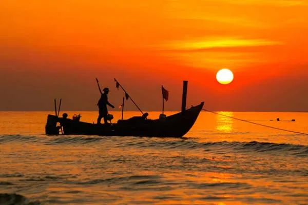 Hình ảnh minh họa sống động (Nguồn: internet) ảnh 1
