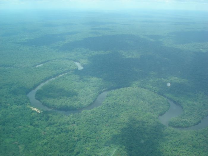 Rừng Congo bao bọc dòng sông Congo uốn lượn - Ảnh 1