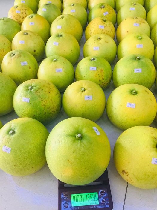 Không gian trưng bày đặc sản Hà Tĩnh tại CED Product