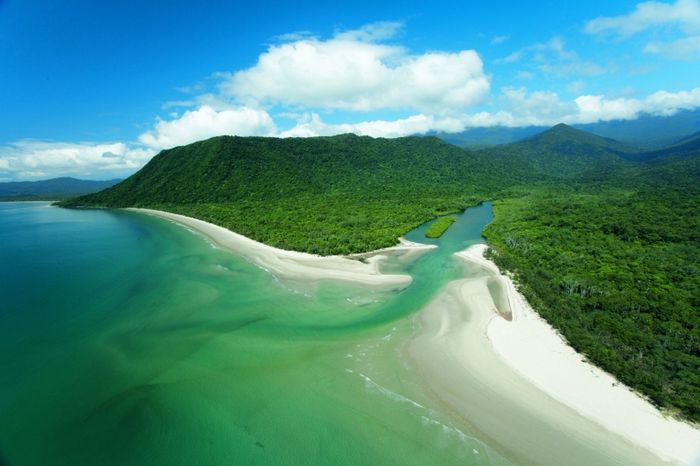 Một góc hệ thực vật tại rừng Daintree - Ảnh 2