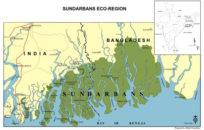 Vị trí của rừng Sundarbans (phần màu xanh) - Ảnh 2