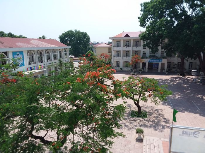 Không gian học tập sáng tạo và đầy cảm hứng tại Trường Tiểu học Khai Quang