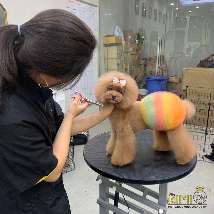 Không gian sang trọng và hiện đại tại Kimi Pet
