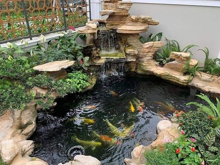 Kiệt tác hồ Koi phong thủy - Mộc Thiên Duy
