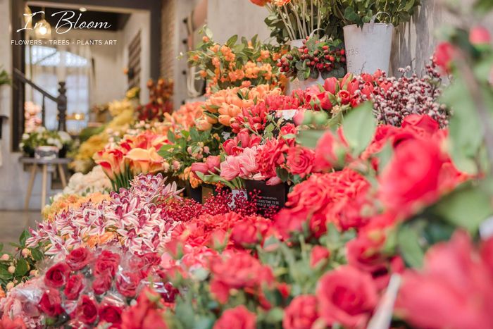 In Bloom - Bộ sưu tập hoa lụa cao cấp ảnh 2