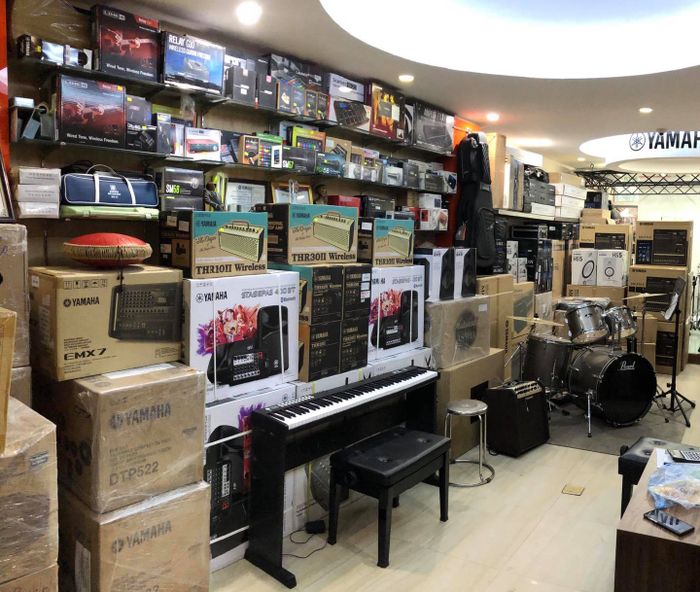 Nhạc Cụ Tiến Mạnh - Tien Manh Music Co, Ltd. ảnh 2