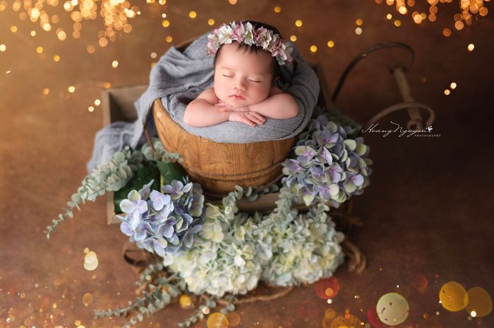 Bộ sưu tập ảnh bé đáng yêu tại HoangNguyen Photo