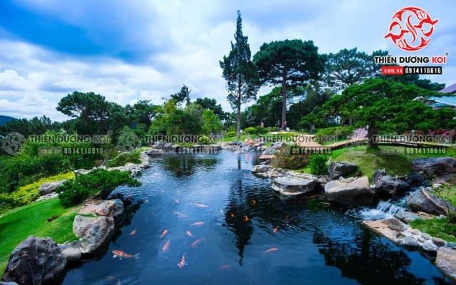 Kiệt tác hồ Koi nghệ thuật - Thiên Dương KOI