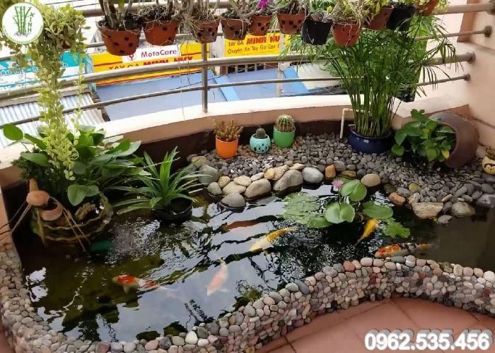 Tác phẩm hồ cá Koi nghệ thuật - Sân Vườn Trúc Xinh