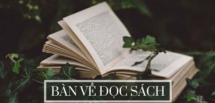 Hình ảnh minh họa sinh động (Nguồn: Internet)