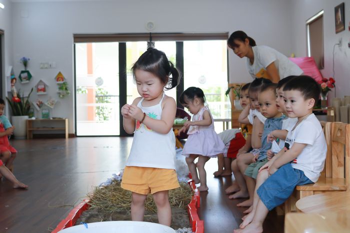 Hình ảnh Trường mầm non Đất Việt - Giờ học ngoại khóa đầy niềm vui