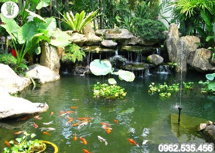 Tác phẩm hồ cá Koi thanh tao - Sân Vườn Trúc Xinh