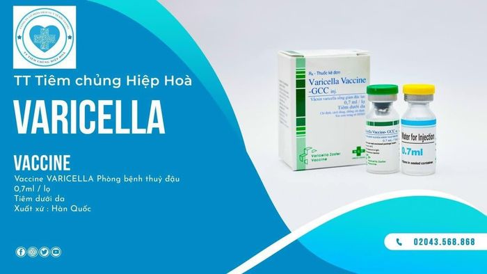 Hình ảnh ấn tượng về Trung tâm Tiêm chủng Hiệp Hòa - Không gian phục vụ chuyên nghiệp