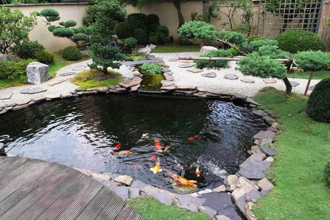 Tác phẩm hồ Koi phong thủy - Phú Tài Đạt