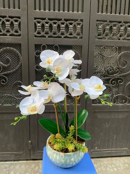 Hoa Lụa Ngân Hà - Tác phẩm nghệ thuật ảnh 1