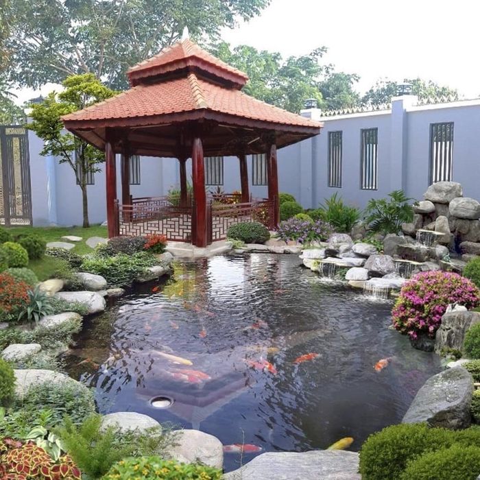 Tác phẩm hồ Koi nghệ thuật - Thiên Phú
