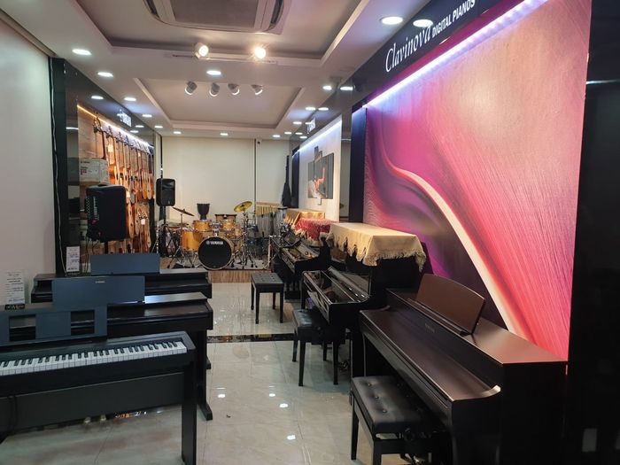 Nhạc Cụ Tiến Mạnh - Tien Manh Music Co, Ltd. ảnh 3
