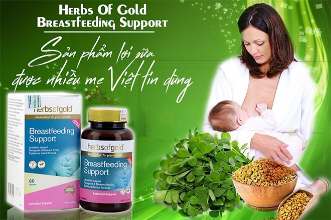 Viên uống lợi sữa Herbs of Gold ảnh 2