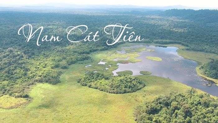 Động vật hoang dã phong phú tại vườn Quốc gia Nam Cát Tiên ảnh 1
