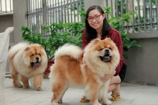 Hình ảnh minh họa: Khoảnh khắc đáng yêu giữa chủ và thú cưng (Nguồn: Internet)