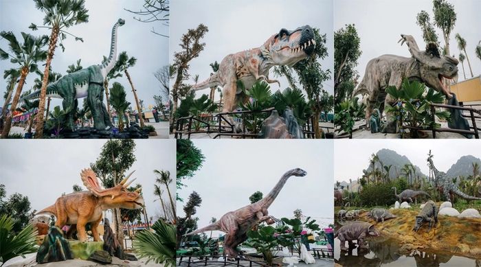 Ảnh 2 Công viên Khủng Long Ninh Bình: Góc nhìn toàn cảnh về thiên đường giải trí - giáo dục độc đáo bậc nhất miền Bắc