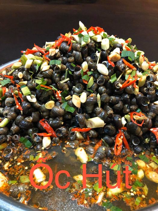 Những món ốc hút thơm ngon, bày trí hấp dẫn tại Ốc Hút Hạnh - Ảnh 2