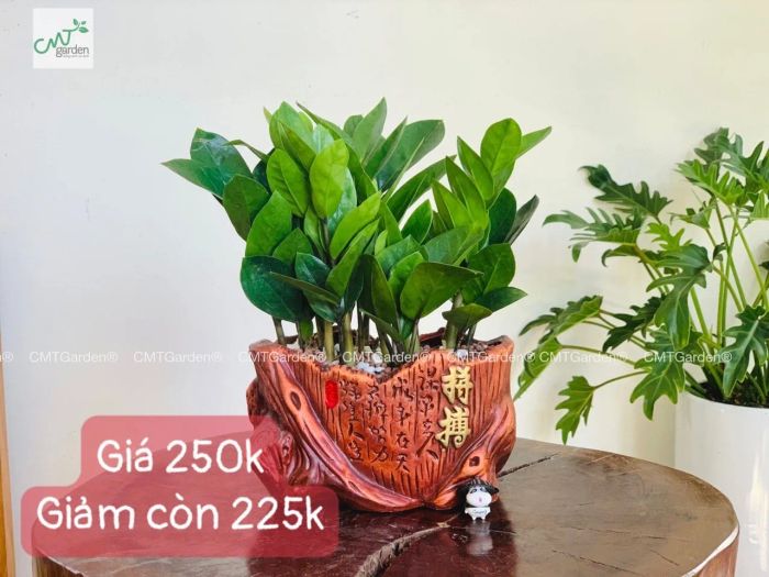 Không gian xanh mát tại CMT Garden
