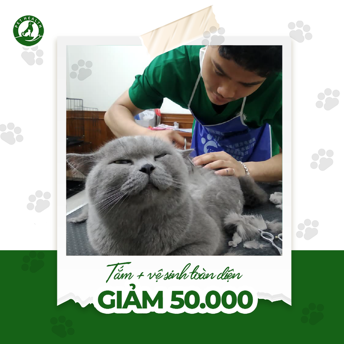 Hình ảnh không gian hiện đại tại Bệnh viện thú y Pethealth Thanh Hóa