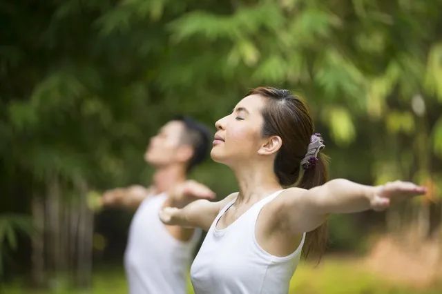 Thực hành những động tác Yoga nhẹ nhàng, duy trì lối sống cân bằng ảnh 2