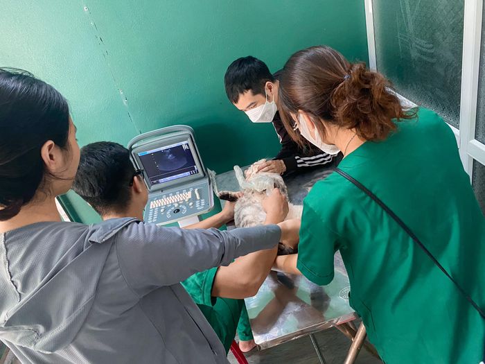 Phòng khám thú y Lạng Sơn S Pet: Hình ảnh 1